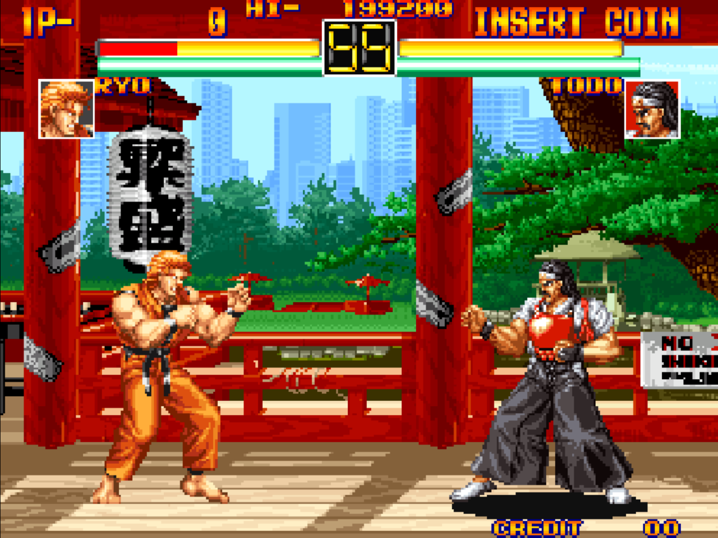 Art of Fighting